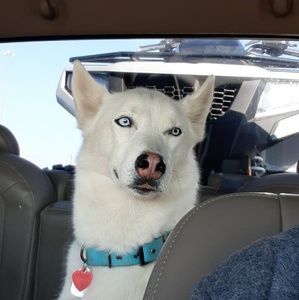 Meet your Posher, Anna